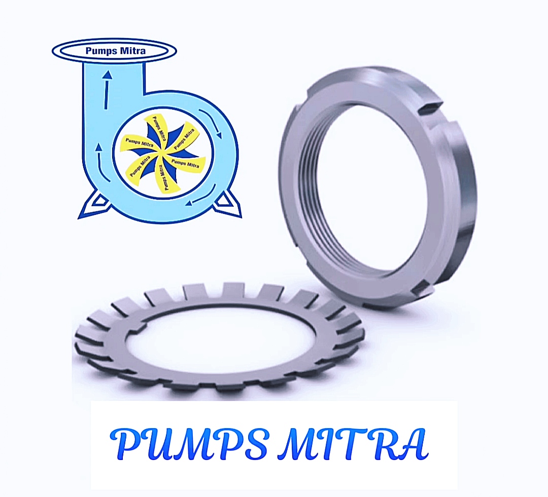 PUMPS MITRA